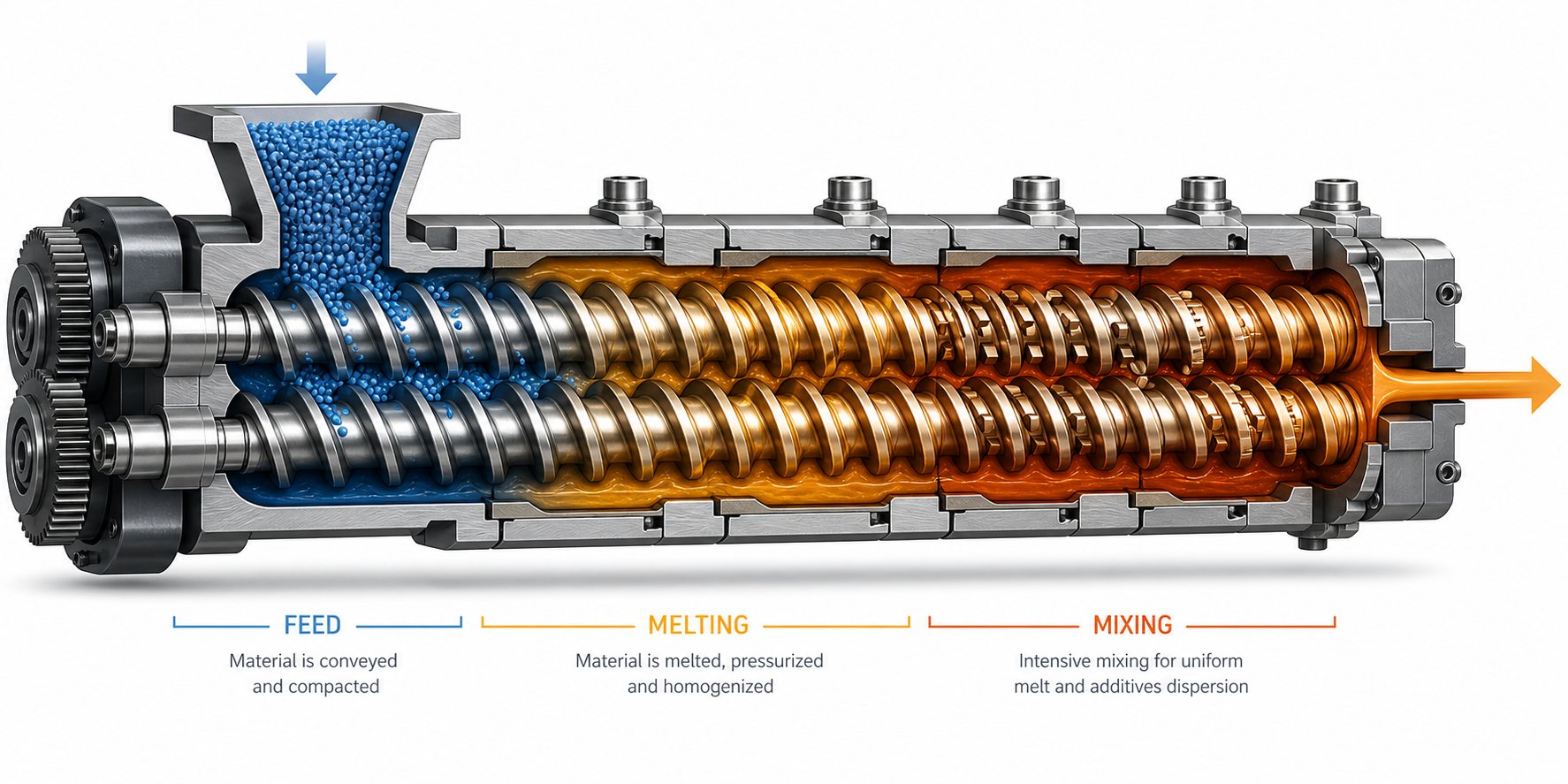 cutaway view of twin screw extrusion showing intermeshing screws and processing zones inside the barrel