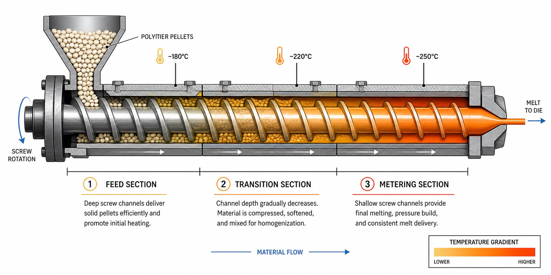 cutaway view of a single screw extruder showing the feed compression and metering zones where polymer transforms from solid pellets to uniform melt