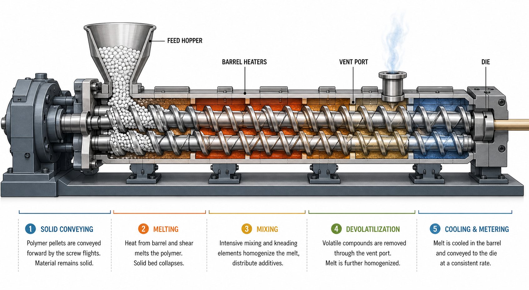 cross section of a twin screw extruder showing key functional zones from feeding to devolatilization