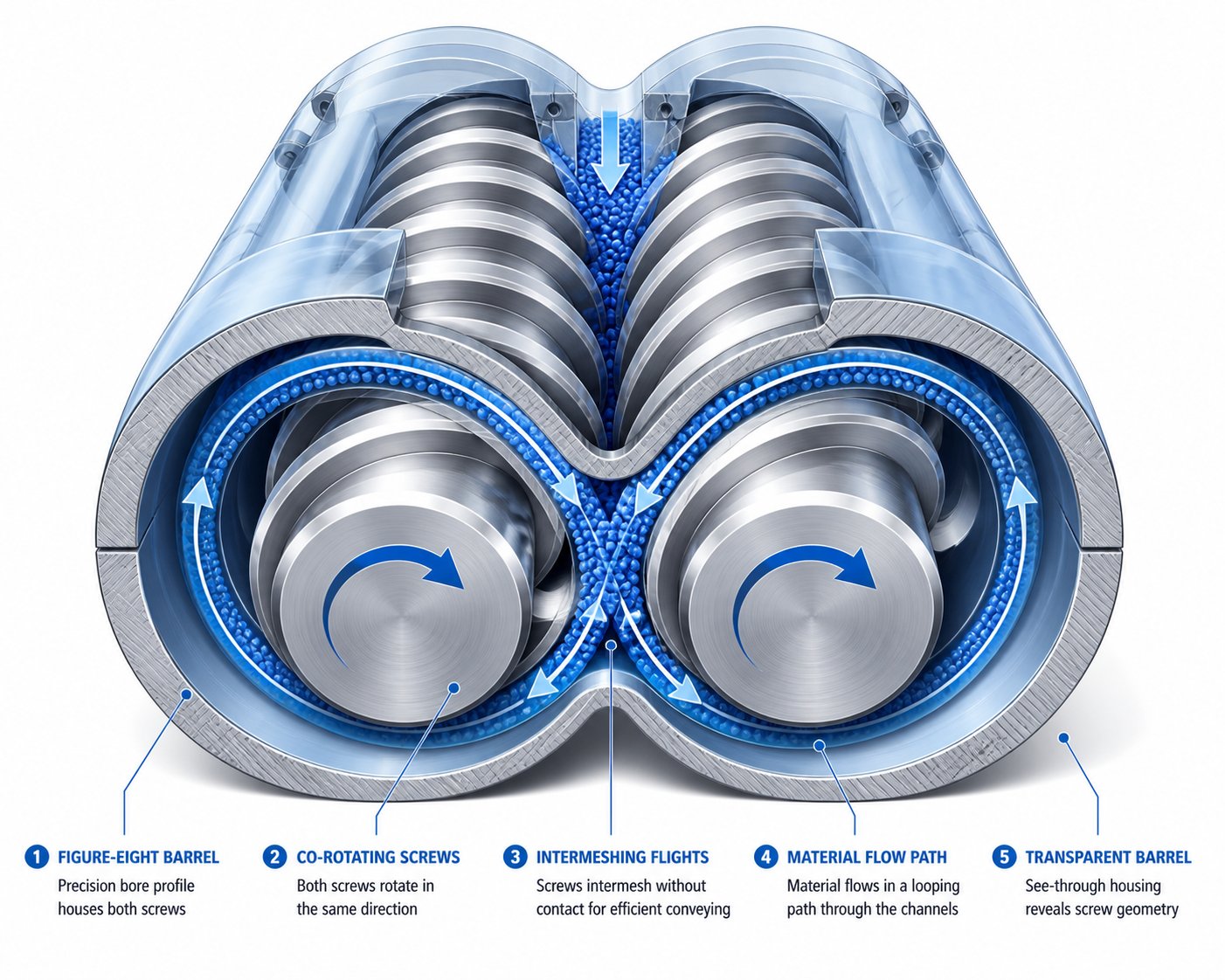 cross section view showing intermeshing co rotating screws and their figure eight material flow path