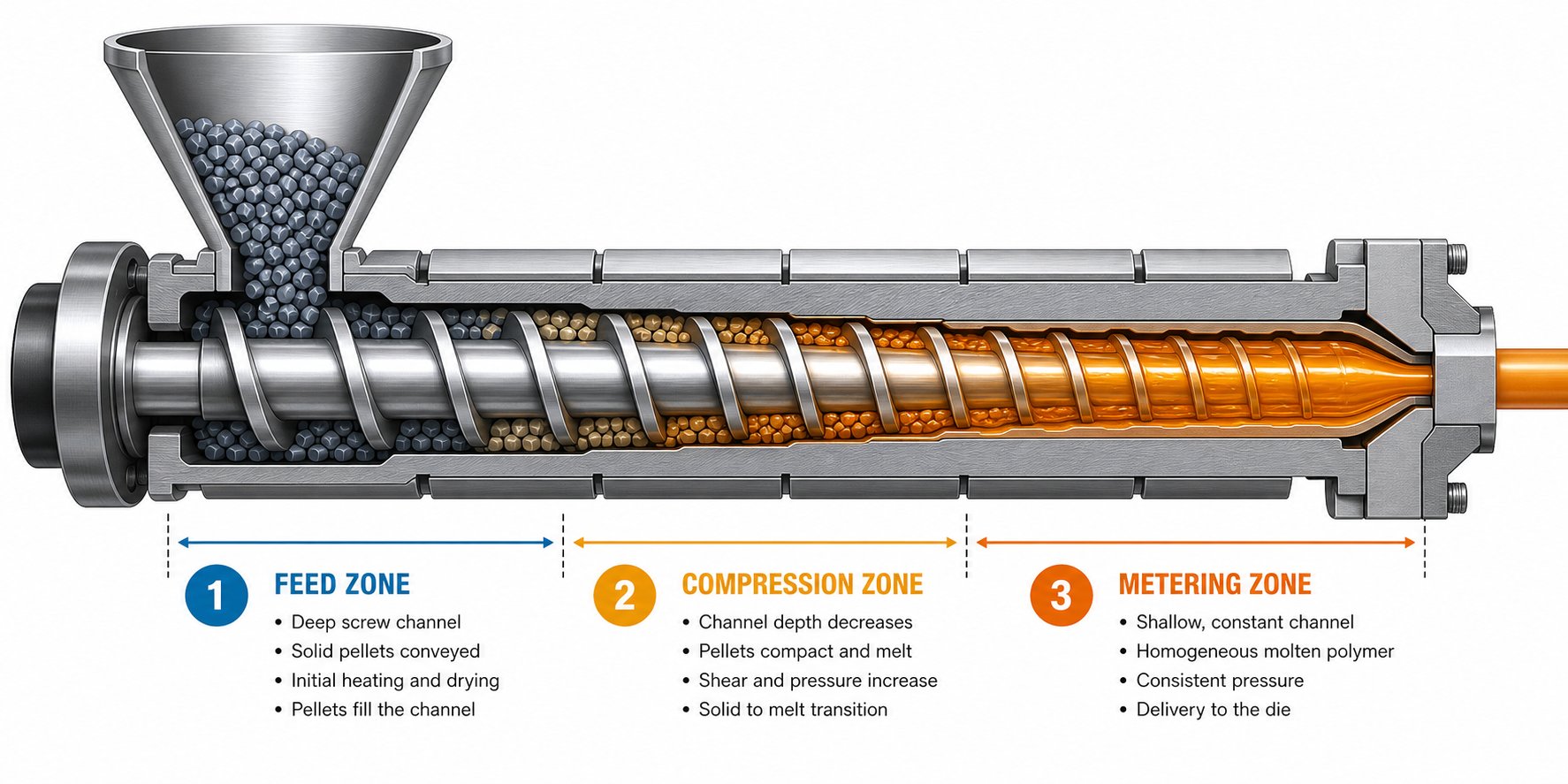 cutaway view of a single screw extruder showing feed compression and metering zones during sheet extrusion