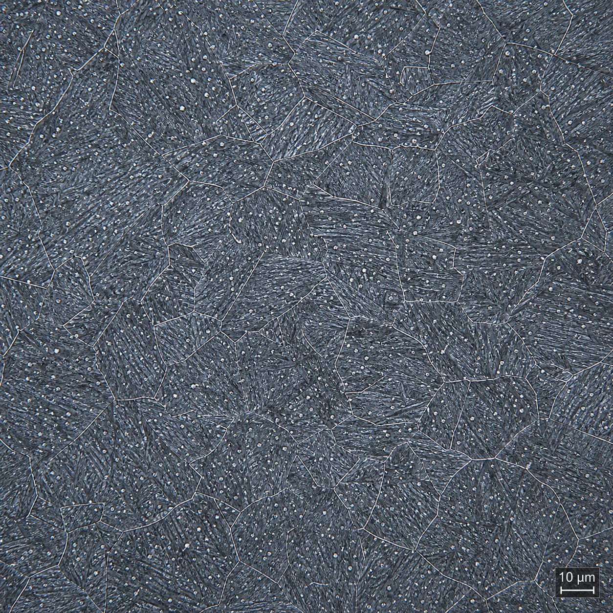 fine alloy carbides dispersed within the skd61 martensite matrix provide secondary hardening and wear resistance at elevated temperatures
